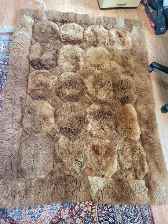 Solid Dark Brown Alpaca Fur Rug Rectangular 22 Alpaca Skin Rug in Brown tones